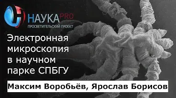 Электронная микроскопия в научном парке СПБГУ – Максим Воробьёв и Ярослав Борисов | Научпоп
