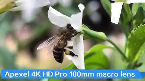 Apexel 100 мм супер макро объектив камеры телефона hd оптический 10x макрообъектив мобильная