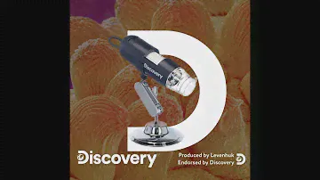 Levenhuk Discovery Artisan 16 Digitalmikroskop Rezension