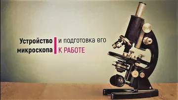 Микроскоп. Подготовка к работе.