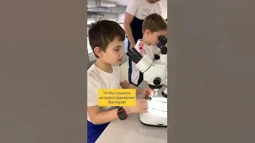 Зачем нужен микроскоп