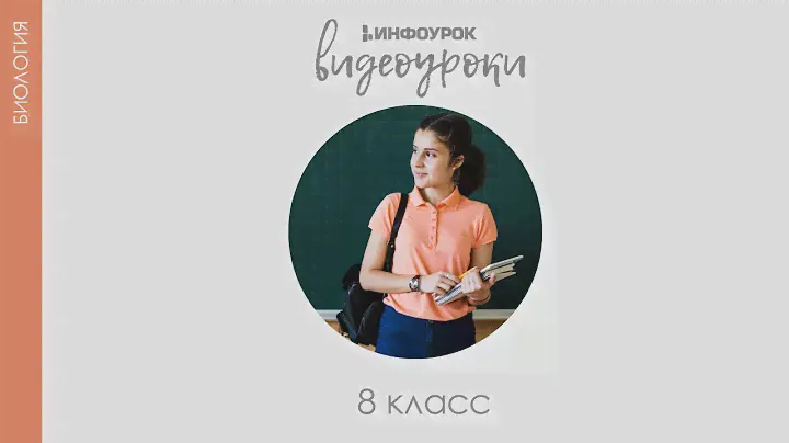 Увеличительные приборы | Биология 5 класс #4 | Инфоурок
