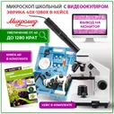 Микроскоп школьный Эврика 40х-1280х с видеоокуляром в кейсе, двойная Led- подсветка, лаборатория. Книга 4D "Мир под микроскопом" в подарок.