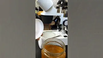 МЁД ПОД МИКРОСКОПОМ